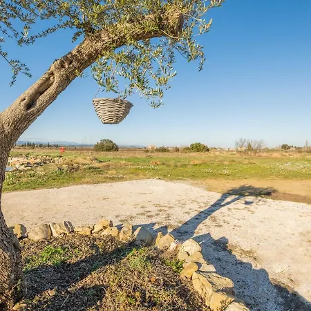 Maison Des Papillons * Ouveillan